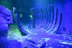 Skeppsvrak i rovfiskakvariet_Shipwreck in the predators aquarium