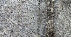 Exempel på mineraliserad gång med sällsynta jordartsmetaller (REE-fosfatmineralen xenotim och monazit ) i Olserum. Foto: Stefan Andersson/SGU
