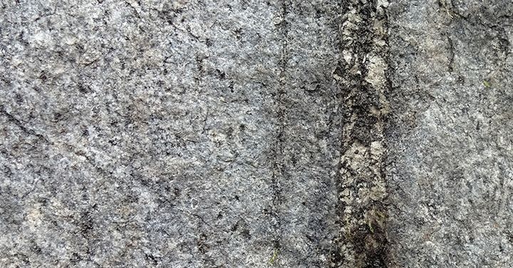 Exempel på mineraliserad gång med sällsynta jordartsmetaller (REE-fosfatmineralen xenotim och monazit ) i Olserum. Foto: Stefan Andersson/SGU