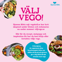 Väljvego.se är Djurens Rätts inspirationssajt som gör det lätt att välja vego! Sajten släpps på internationella vegandagen, 1/11 2017.