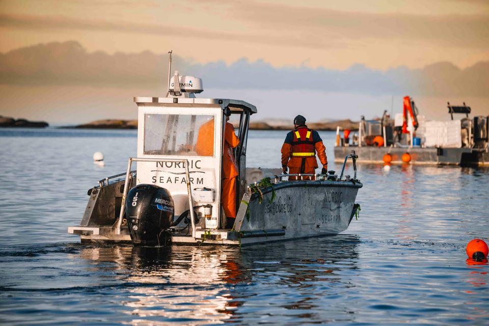 NORDIC SEAFARM_PHOTO JOHAN LILJA