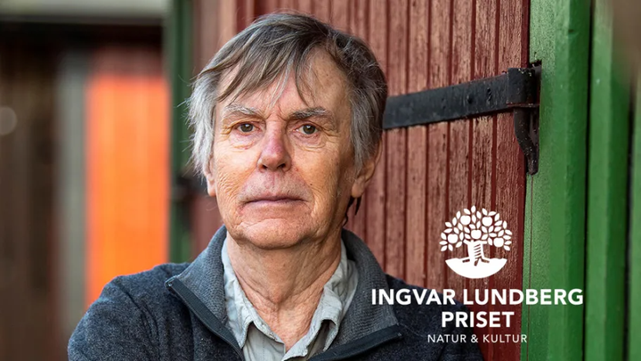 Foto: Mattias Mattisson