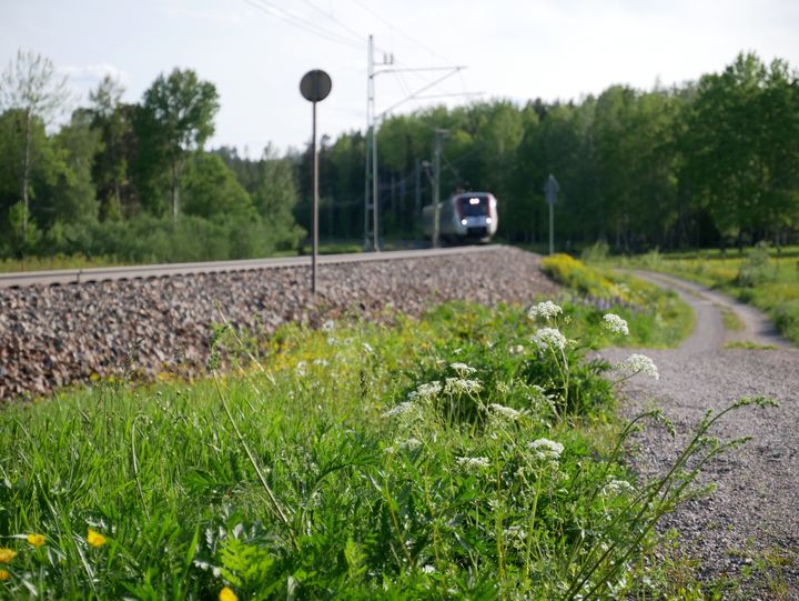 Järnväg Dalarna Foto: Göran Fält