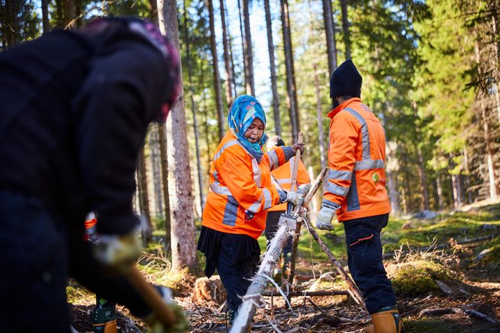 Redan nu är 200 anställda runt om i Sverige för att utföra naturnära arbeten som att sköta naturområden. Foto: Patrik Svedberg