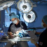 Operationssal på Väsby Djursjukhus. Foto: Fredrik Persson