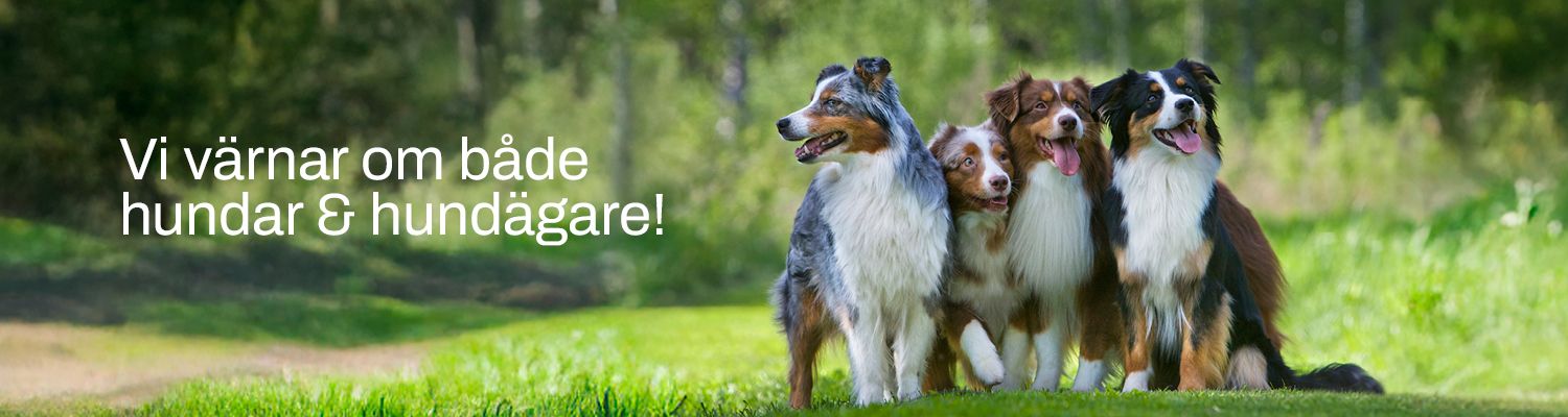 Svenska Kennelklubben