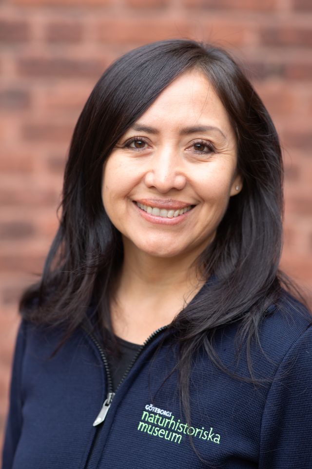 Carola Azurduy Högström, Göteborgs naturhistoriska museum