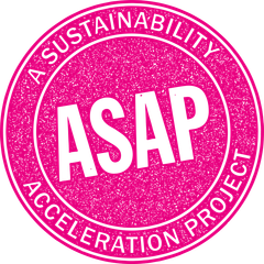 ASAP Large Magenta