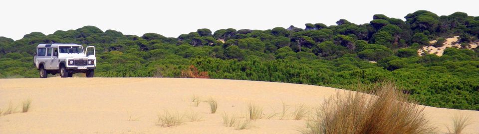 Doñana nationalpark (Huelva, Andalusien)