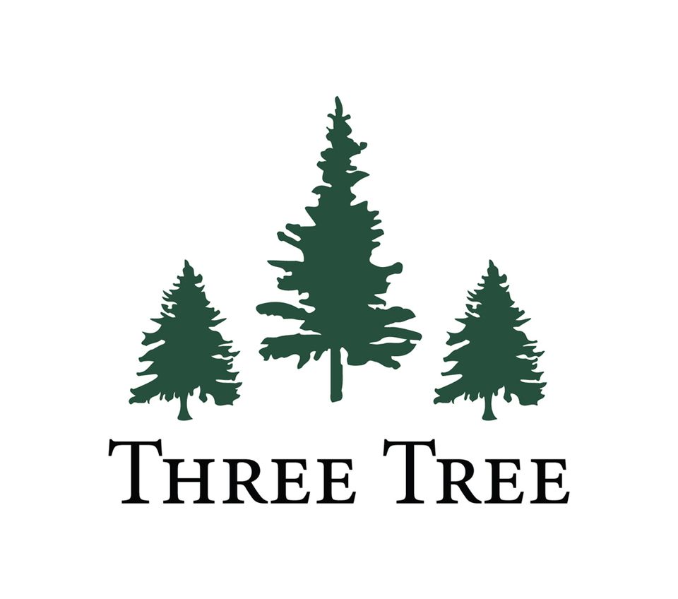 Third Tree Three Tree invests for $500 million in Texas timberlands | AP3 Tredje ...