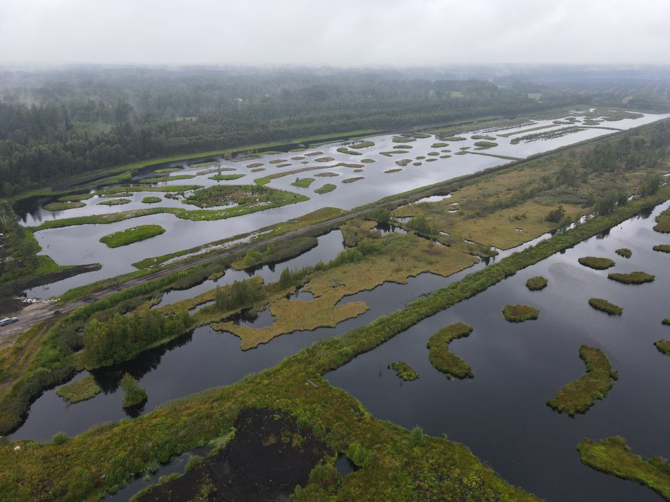 Efterbehandlad våtmark