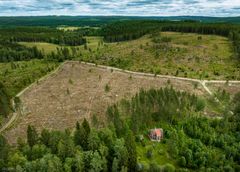 Naturskyddsföreningen ställer ut fotografen Marcus Westbergs bilder av den svenska skogen för att ge en mer sanningsenlig bild till EU:s skogsdirektörer.