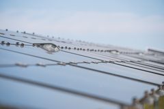Ingka koncernen köper nio solenergiprojekt i Europa till ett värde av 3,5 miljarder kronor – en del av IKEAs storsatsning på förnybar energi