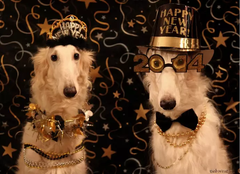 Man måste ju vara fin när man ska med på nyårsfesten