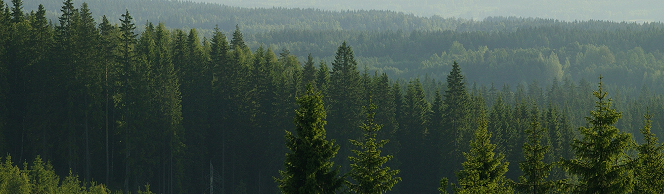 GS - Facket för Skogs-, trä- och grafisk Bransch