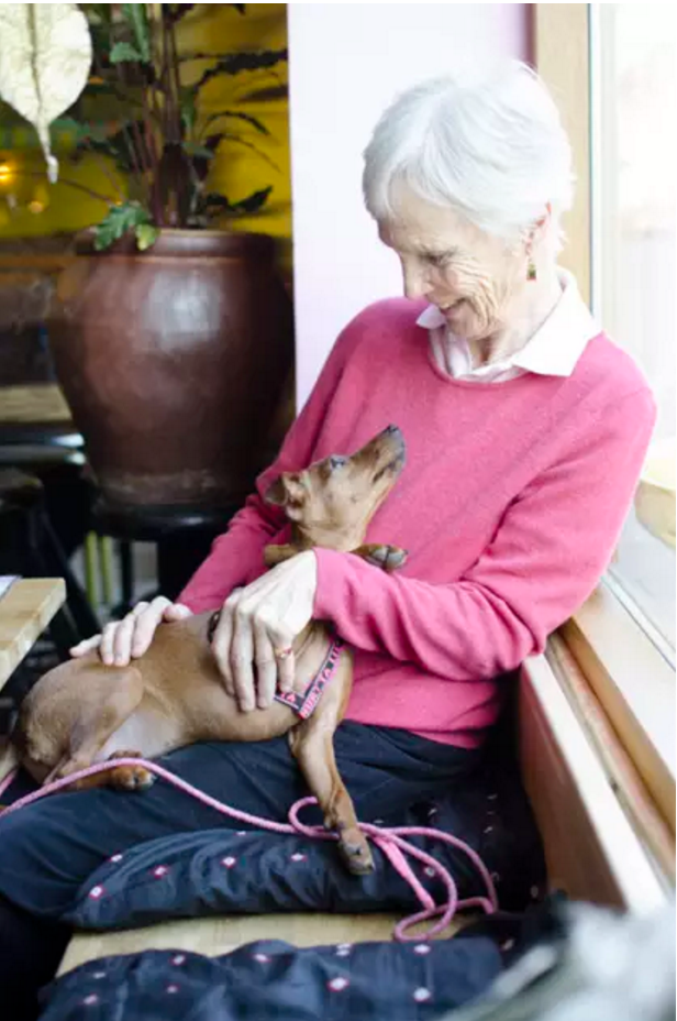 Milly Holmgren, med hunden Gucci, är en av 14 stipendiater som får pengar från Hundstipendiet.
