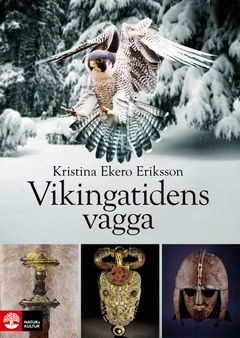 Vikingatidens vagga - i vendeltidens värld