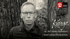 Foto: Magnus Bergström