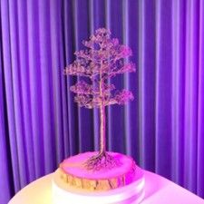 Pris Allmännyttans bästa klimatinitiativ