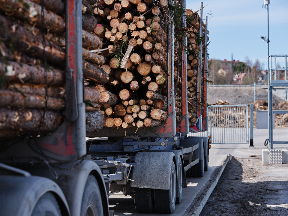 Biometria_Östrand_DSF0364_2021