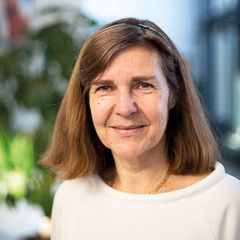 Gunilla Enblad, professor och överläkare i onkologi vid Akademiska sjukhuset/Uppsala universitet Fotograf: Mikael Wallerstedt