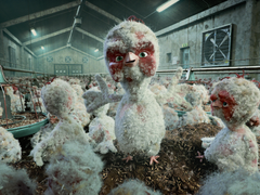 Ur filmen "Världens bästa djurskydd". Foto: Djurens Rätt