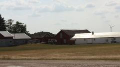 Lidköpings kaninfarm. För bild på protesten kontakta Djurrättsalliansen. Foto: Djurrättsalliansen