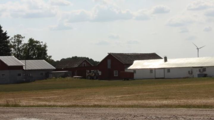 Lidköpings kaninfarm. För bild på protesten kontakta Djurrättsalliansen. Foto: Djurrättsalliansen