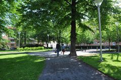 Nominerad till Planpriset 2020: Grönstrukturplan för Jönköping. Foto: Jönköpings kommun