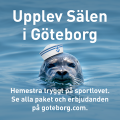 Denna bild är en del av Göteborg & Co:s sportlovskampanj 2021.