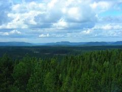 Skogsstyrelsen bedömer att kostnaden enbart för intrångsersättning i fjällnära områden kommer att uppgå till 360 miljoner kronor under år 2021. Foto: Åke Sjöström