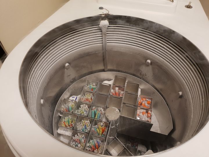 Här förvaras frysta embryon