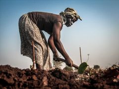 Lönen - 90 öre i timmen.