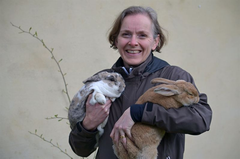 Catrin Vesterlund-Carlson, SVA