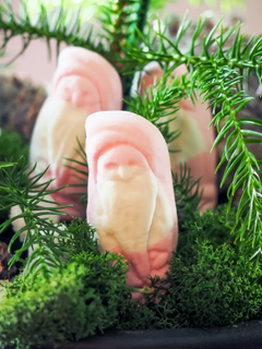 Juleskums_tomte_mossa_1