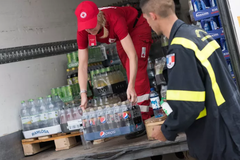 Skogsbränderna 2018