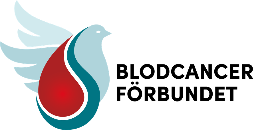 BLCF_Logotyp_Liggande_transparent PNG