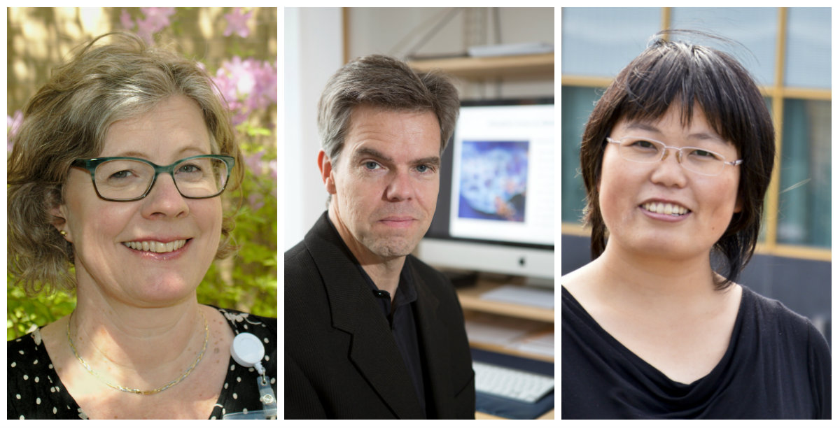 Ingrid Tonning Olsson, Magnus Essand och Hong Qian är tre av forskarna som tar del av Barncancerfondens forskningsanslag.