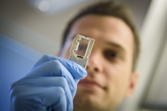 Robert Söderlund tittar på en så kallad flowcell, som används för helgenomsekvensiering i en MiSeq-apparat. Foto: Magnus Aronson