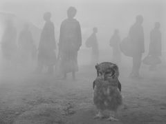 © Nick Brandt, Harriet and People in Fog - Zimbabwe 2020 - Courtesy WILLAS contemporary