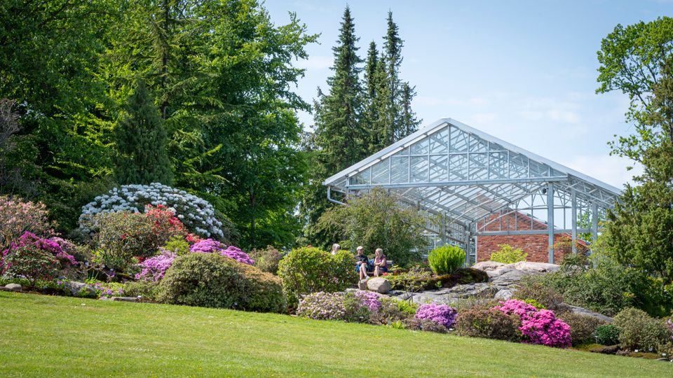 Invigning_åsen_2024