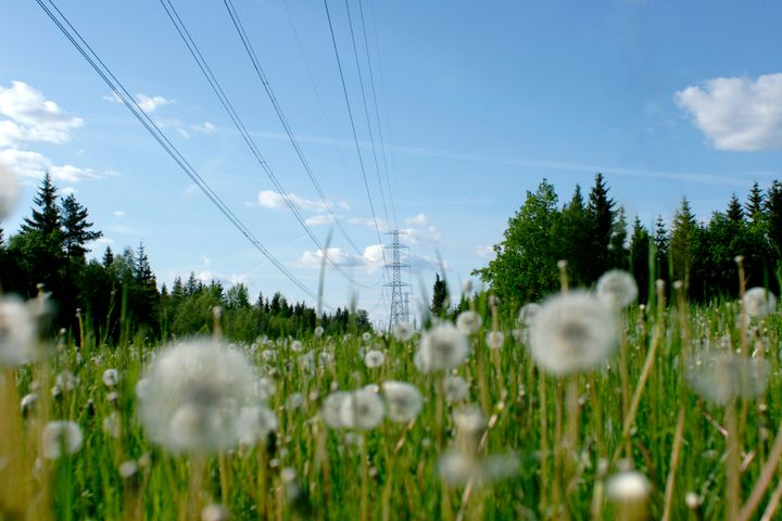Jätteinvesteringen, på initialt en halv miljard kronor, ska på sikt ansluta 700 megawatt förnybar vindkraft till elområde 4. Foto: E.ON