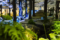 King K36 i Stockholm är den senaste vinnaren av prestigefyllda Svenska Ljuspriset. Det är nu dags för en ny tävlingsomgång - för att utse 2016 års bästa ljusprojekt. Foto: Joachim Belaieff