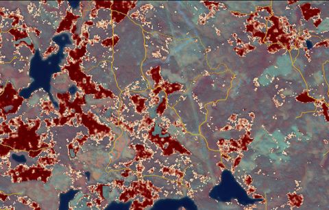 Karta visar var det finns risk för granbarkborre i Västernorrland