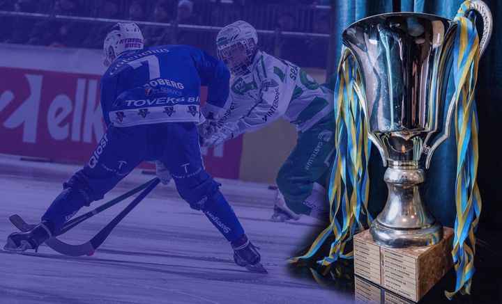 Bilden får användas fritt så länge fotografens namn anges. Foto: Romus Ramström /Svenska bandyförbundet