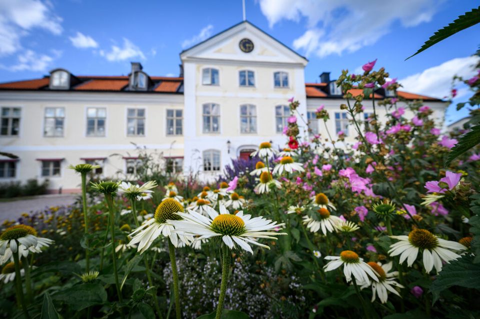 stjarnholm_blommor_3-1024x681
