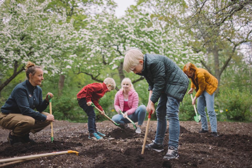 Familjeaktivitet trädgårdsdagar