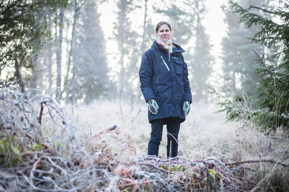 Johanna Sandahl Omvald Som Naturskyddsföreningens Ordförande Naturskyddsföreningen 4003