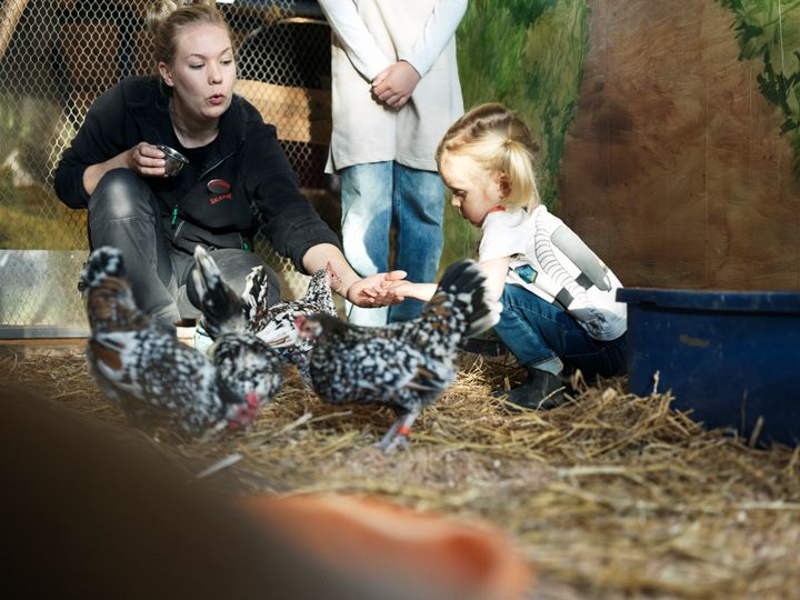 Djurvårdare och barn på Lill-Skansen. Foto: Alex Hinchcliffe
