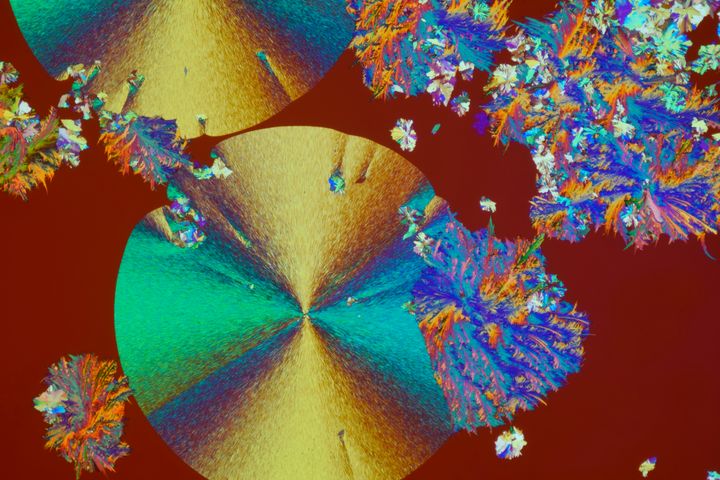 Kristaller fångade i ljusmikroskop. Verk av Maria Constanza Ferreira.
